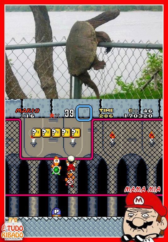 Mario no mundo real
